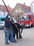 Maibaum 2009 176
